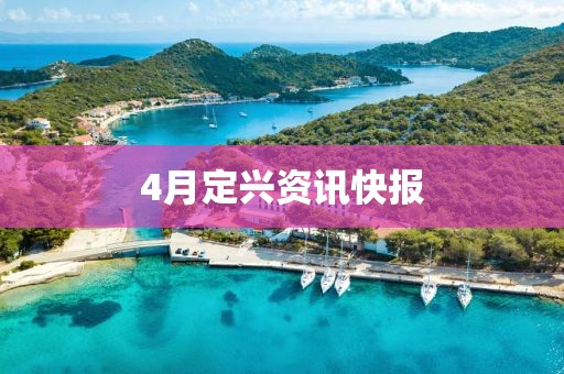 4月定兴资讯快报