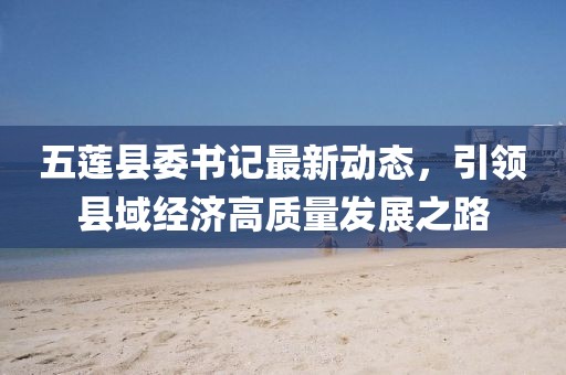 五莲县委书记最新动态，引领县域经济高质量发展之路