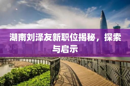 湖南刘泽友新职位揭秘，探索与启示