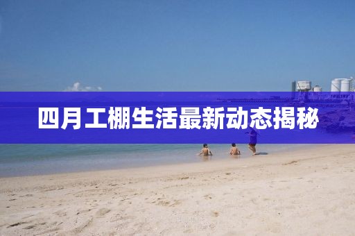 四月工棚生活最新动态揭秘