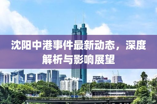 沈阳中港事件最新动态，深度解析与影响展望