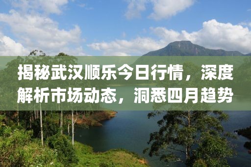 揭秘武汉顺乐今日行情，深度解析市场动态，洞悉四月趋势