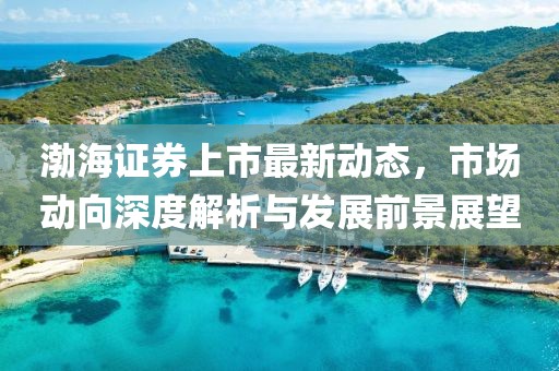渤海证券上市最新动态，市场动向深度解析与发展前景展望