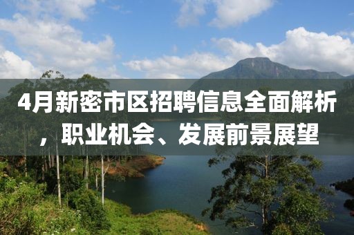 4月新密市区招聘信息全面解析，职业机会、发展前景展望
