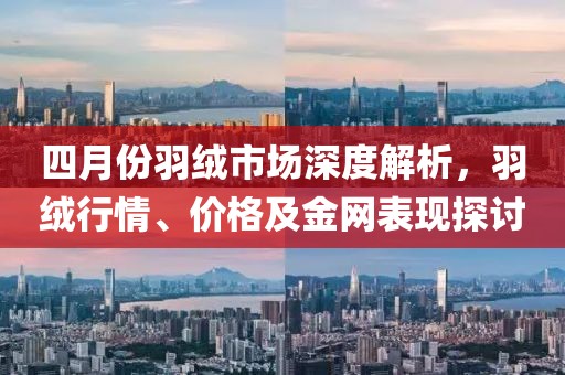 四月份羽绒市场深度解析，羽绒行情、价格及金网表现探讨