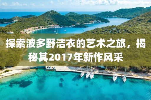 探索波多野洁衣的艺术之旅，揭秘其2017年新作风采