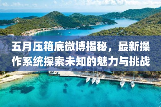 五月压箱底微博揭秘，最新操作系统探索未知的魅力与挑战