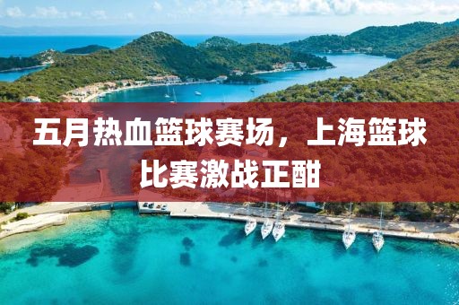 五月热血篮球赛场，上海篮球比赛激战正酣
