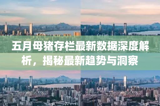 五月母猪存栏最新数据深度解析，揭秘最新趋势与洞察
