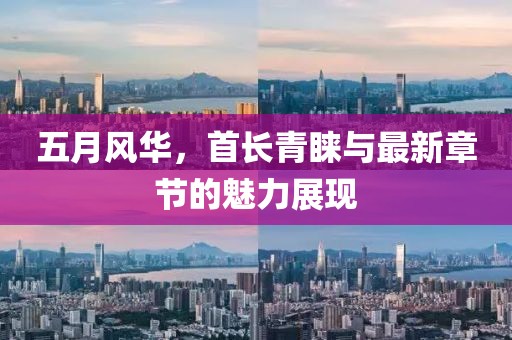五月风华，首长青睐与最新章节的魅力展现
