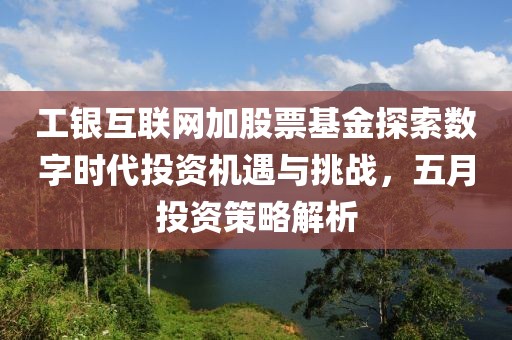 工银互联网加股票基金探索数字时代投资机遇与挑战，五月投资策略解析