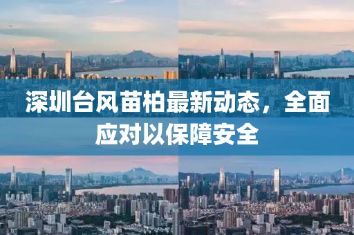 深圳台风苗柏最新动态，全面应对以保障安全