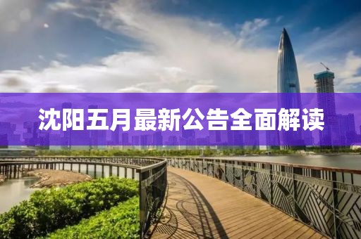 沈阳五月最新公告全面解读