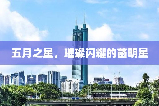 五月之星，璀璨闪耀的菡明星