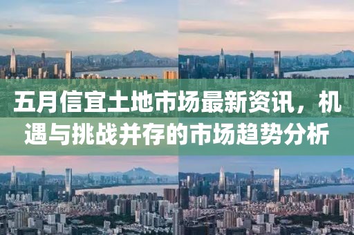 五月信宜土地市场最新资讯，机遇与挑战并存的市场趋势分析