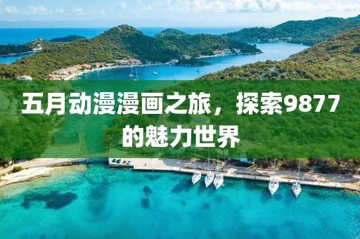 五月动漫漫画之旅，探索9877的魅力世界