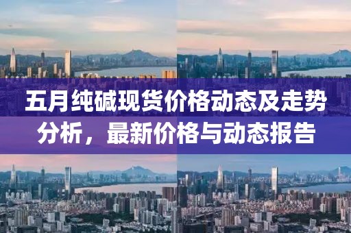 五月纯碱现货价格动态及走势分析，最新价格与动态报告