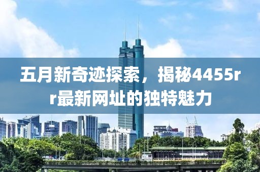 五月新奇迹探索，揭秘4455rr最新网址的独特魅力