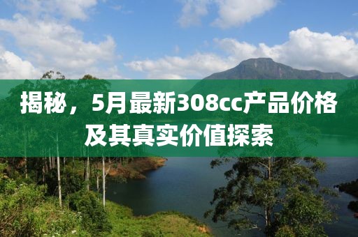 揭秘，5月最新308cc产品价格及其真实价值探索