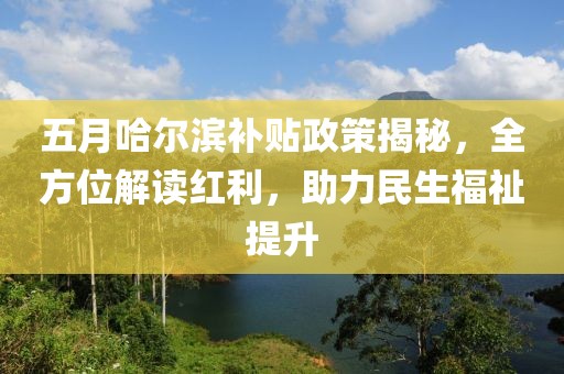 五月哈尔滨补贴政策揭秘，全方位解读红利，助力民生福祉提升