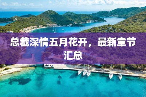 总裁深情五月花开，最新章节汇总