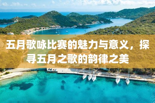 五月歌咏比赛的魅力与意义，探寻五月之歌的韵律之美