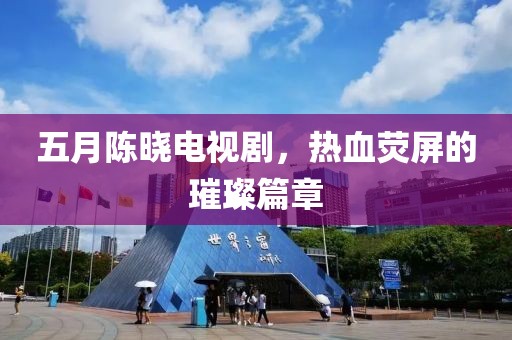 五月陈晓电视剧，热血荧屏的璀璨篇章