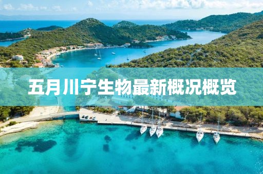 五月川宁生物最新概况概览