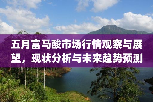 五月富马酸市场行情观察与展望，现状分析与未来趋势预测