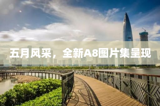 五月风采，全新A8图片集呈现