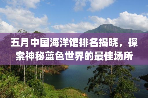 五月中国海洋馆排名揭晓，探索神秘蓝色世界的最佳场所