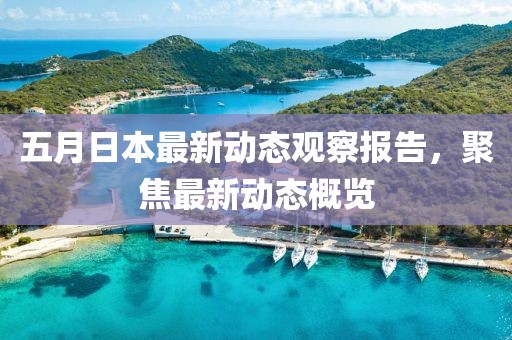 五月日本最新动态观察报告，聚焦最新动态概览