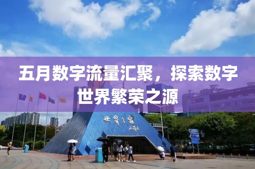 五月数字流量汇聚，探索数字世界繁荣之源