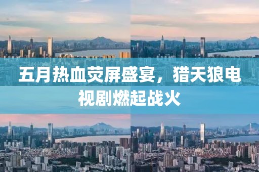 五月热血荧屏盛宴，猎天狼电视剧燃起战火