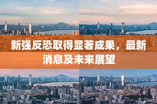 新强反恐取得显著成果，最新消息及未来展望