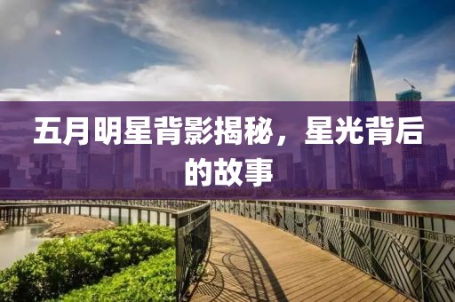 五月明星背影揭秘，星光背后的故事