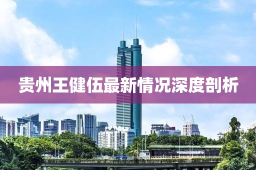 贵州王健伍最新情况深度剖析