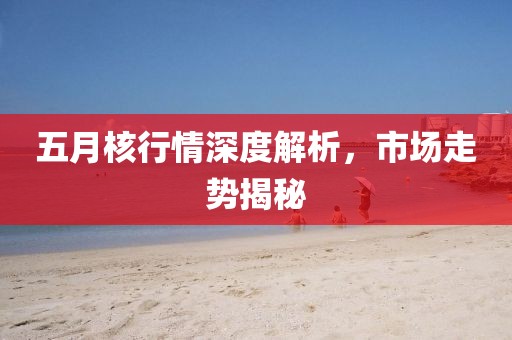 五月核行情深度解析，市场走势揭秘