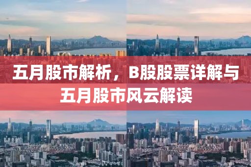 五月股市解析，B股股票详解与五月股市风云解读