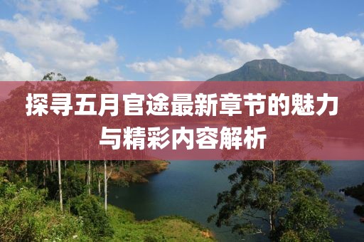 探寻五月官途最新章节的魅力与精彩内容解析