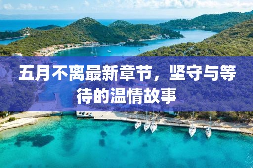 五月不离最新章节，坚守与等待的温情故事