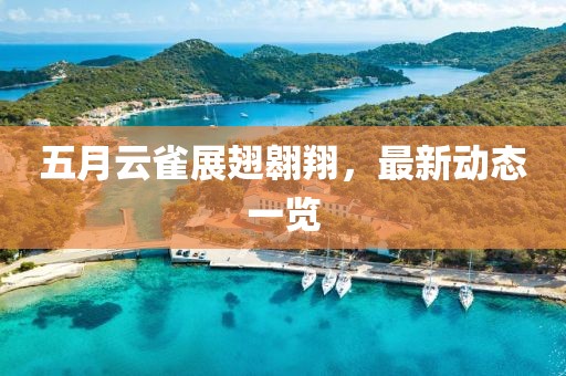 五月云雀展翅翱翔，最新动态一览