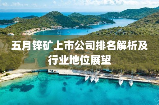 五月锌矿上市公司排名解析及行业地位展望