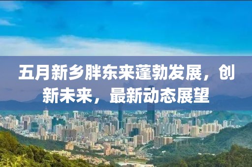 五月新乡胖东来蓬勃发展，创新未来，最新动态展望