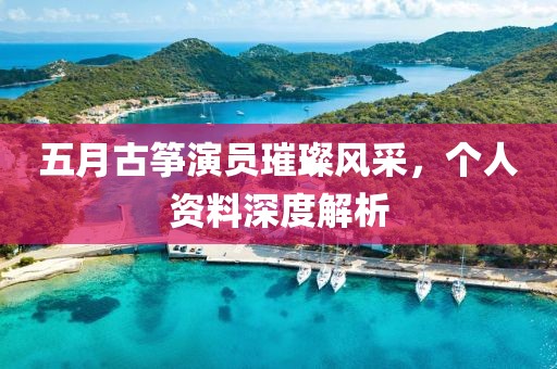五月古筝演员璀璨风采，个人资料深度解析