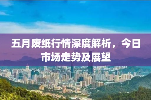 五月废纸行情深度解析，今日市场走势及展望