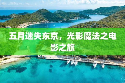 五月迷失东京，光影魔法之电影之旅