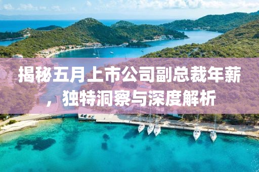 揭秘五月上市公司副总裁年薪，独特洞察与深度解析
