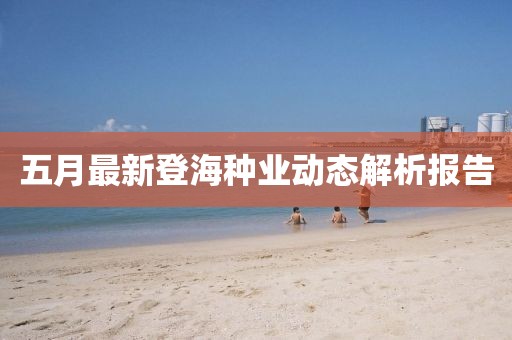 五月最新登海种业动态解析报告