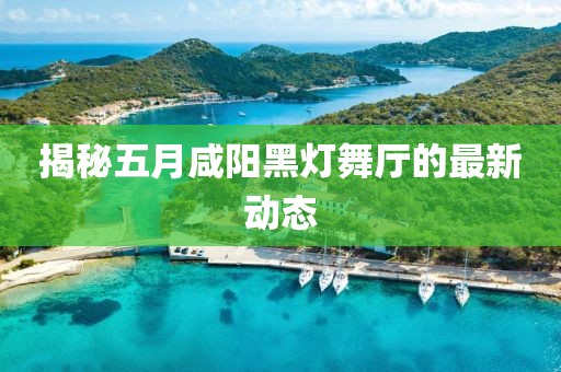 揭秘五月咸阳黑灯舞厅的最新动态
